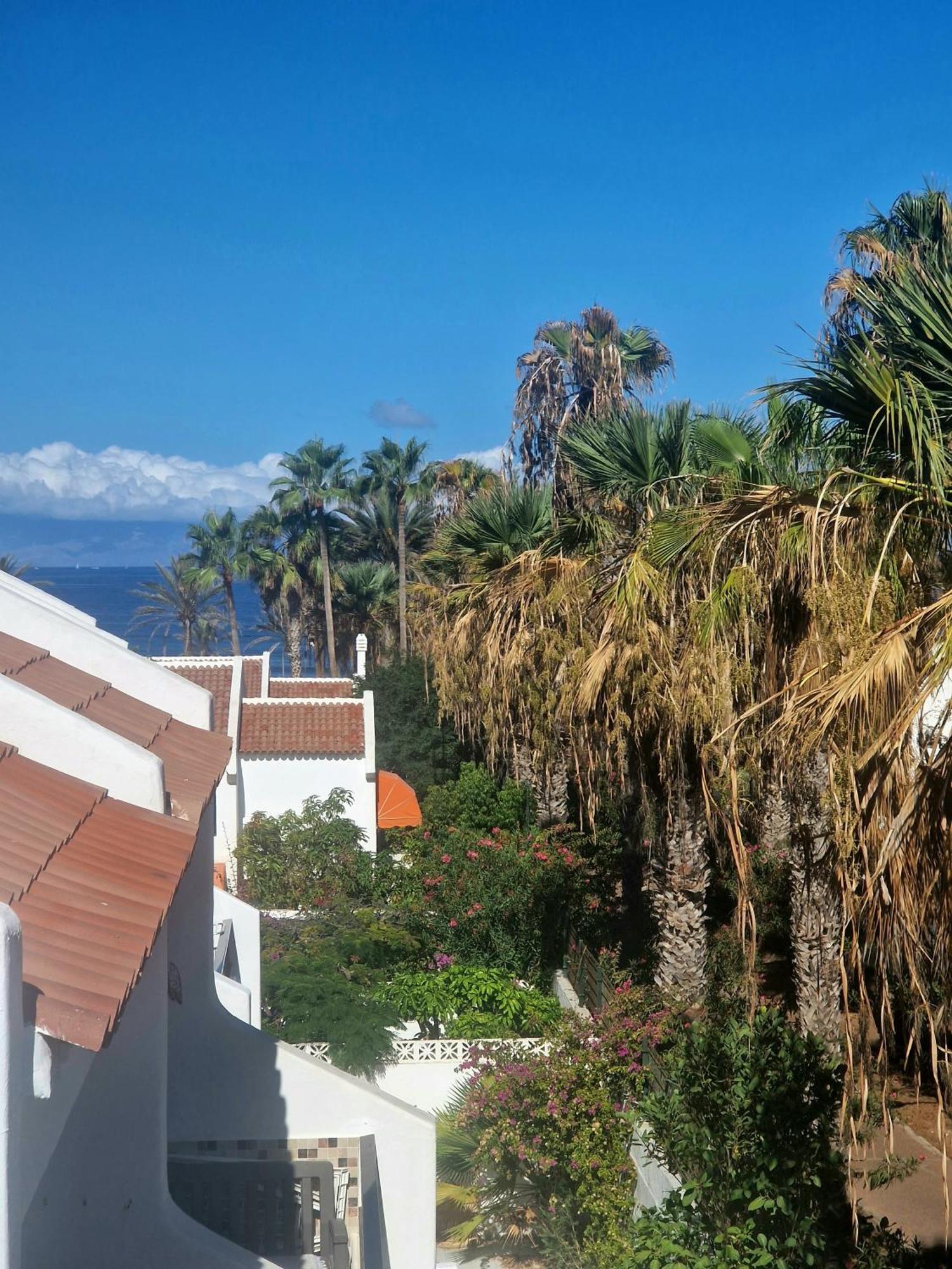 Parque Santiago 1 F-312 By Tenerife Dream Properties Playa de las Américas Buitenkant foto